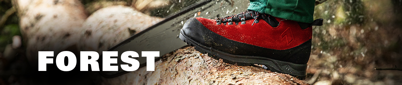 kategoriebanner_forest kategoriebanner_forest